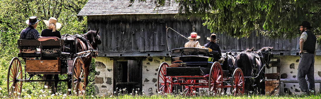 Horses and Carriages at Old World Wisconsin.
